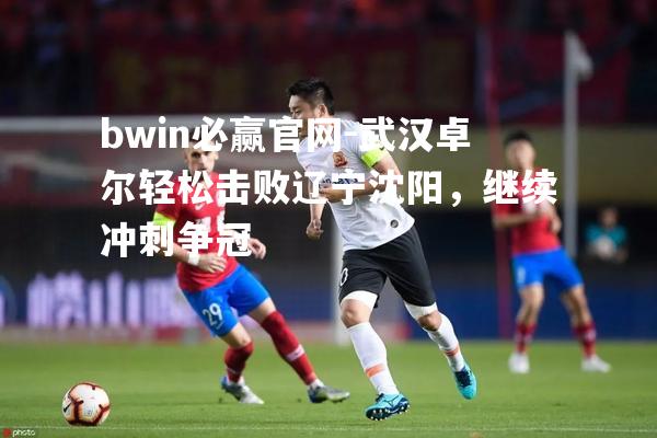 武汉卓尔轻松击败辽宁沈阳，继续冲刺争冠