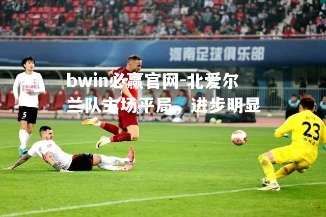 北爱尔兰队主场平局，进步明显
