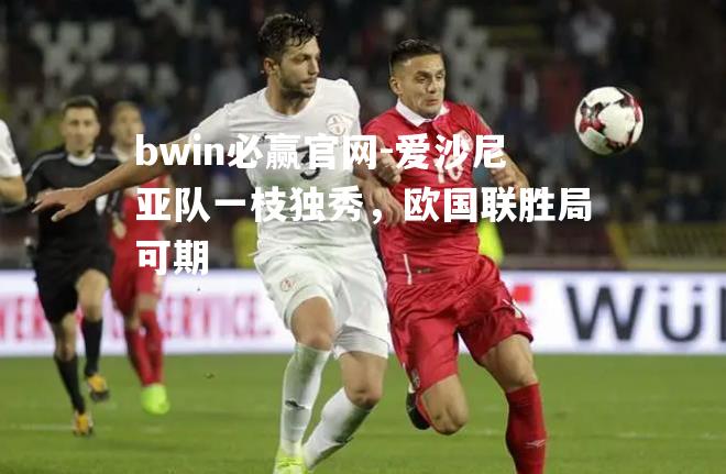 爱沙尼亚队一枝独秀，欧国联胜局可期